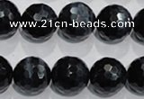 CTE925 15.5 inches 14mm faceted round silver tiger eye beads