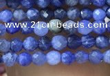 CTG1070 15.5 inches 2mm faceted round tiny sodalite beads