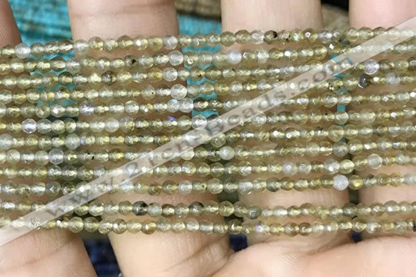 CTG1077 15.5 inches 2mm faceted round tiny labradorite beads