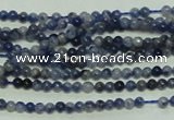 CTG115 15.5 inches 2mm round tiny sodalite gemstone beads wholesale