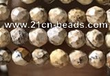 CTG1158 15.5 inches 3mm faceted round tiny picture jasper beads