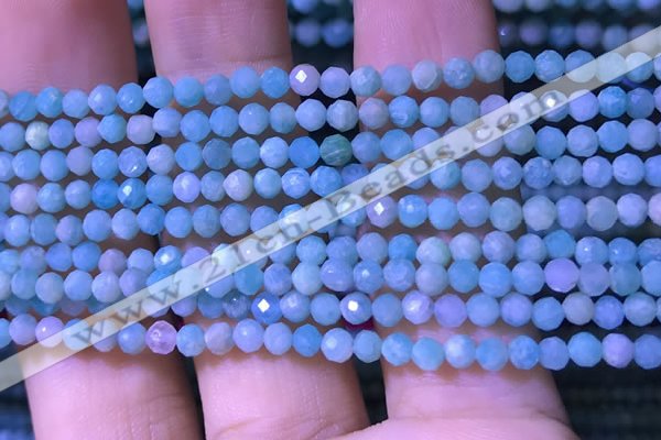 CTG1166 15.5 inches 3mm faceted round tiny amazonite beads