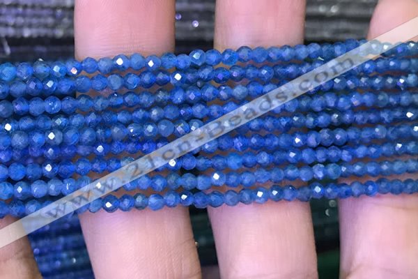 CTG1195 15.5 inches 3mm faceted round tiny apatite gemstone beads