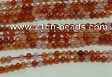 CTG123 15.5 inches 2mm round grade A tiny red agate beads wholesale