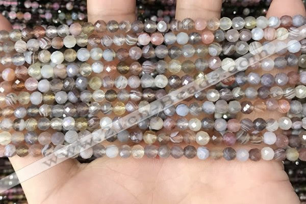 CTG1354 15.5 inches 4mm faceted round Botswana agate beads