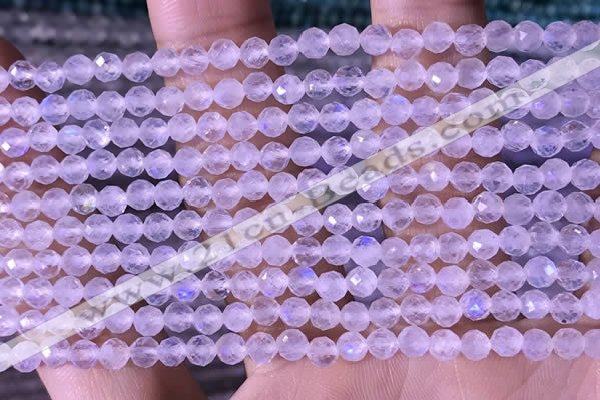 CTG1394 15.5 inches 4mm faceted round tiny white moonstone beads