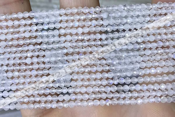 CTG1402 15.5 inches 2mm faceted round white moonstone beads wholesale