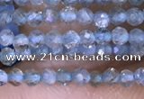 CTG1416 15.5 inches 2mm faceted round apatite beads wholesale