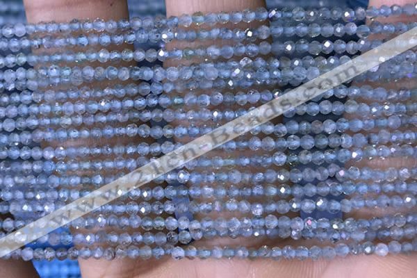 CTG1416 15.5 inches 2mm faceted round apatite beads wholesale