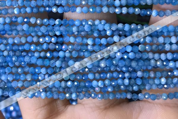 CTG1418 15.5 inches 2mm faceted round apatite beads wholesale