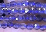 CTG1444 15.5 inches 2mm faceted round iolite beads wholesale