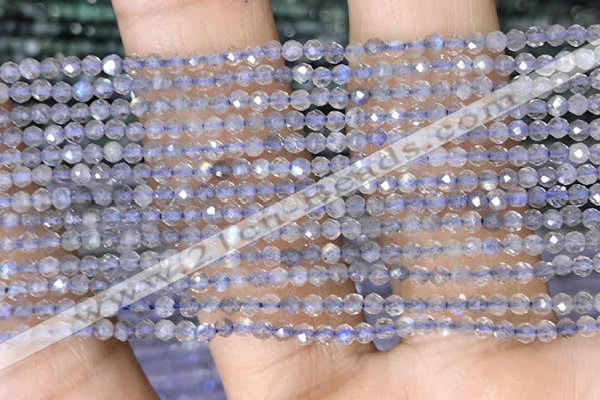 CTG1458 15.5 inches 2mm faceted round labradorite gemstone beads