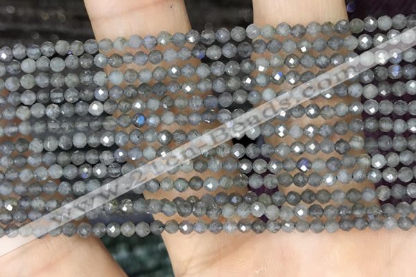 CTG1459 15.5 inches 2mm faceted round labradorite beads wholesale