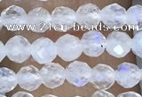 CTG1482 15.5 inches 3mm faceted round white moonstone beads