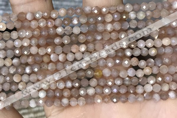 CTG1503 15.5 inches 3mm faceted round moonstone gemstone beads