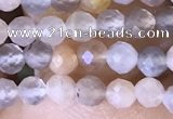 CTG1504 15.5 inches 3mm faceted round moonstone beads wholesale