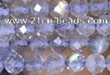 CTG1508 15.5 inches 3mm faceted round labradorite beads wholesale