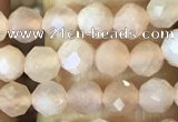 CTG1544 15.5 inches 4mm faceted round moonstone beads wholesale