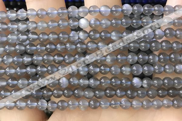 CTG1582 15.5 inches 4mm round grey moonstone beads wholesale