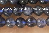 CTG1591 15.5 inches 4mm round iolite gemstone beads wholesale