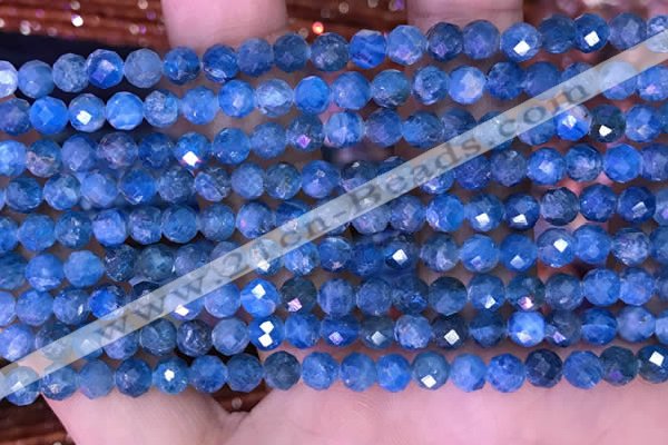 CTG1616 15.5 inches 5mm faceted round tiny apatite beads