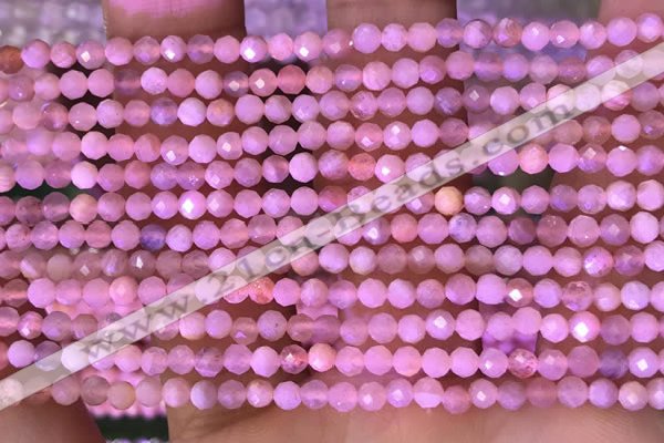 CTG1645 15.5 inches 3mm faceted round tiny moonstone beads