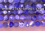 CTG1665 15.5 inches 2mm faceted round tiny sodalite beads