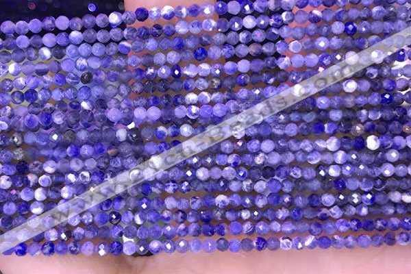 CTG1665 15.5 inches 2mm faceted round tiny sodalite beads