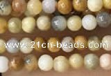 CTG2019 15 inches 2mm,3mm yellow crazy lace agate beads