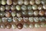 CTG2045 15 inches 2mm,3mm China unakite beads