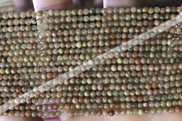 CTG2045 15 inches 2mm,3mm China unakite beads