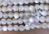 CTG2047 15 inches 2mm,3mm mother of pearl beads