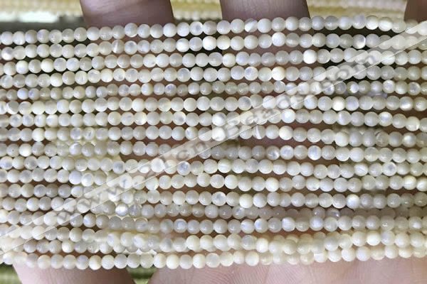 CTG2049 15 inches 2mm,3mm mother of pearl beads