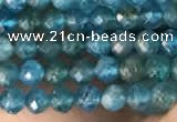 CTG2130 15 inches 2mm,3mm faceted round apatite gemstone beads