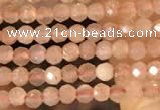 CTG2138 15 inches 2mm,3mm faceted round sunstone gemstone beads