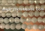 CTG2155 15 inches 2mm,3mm faceted round amazonite gemstone beads