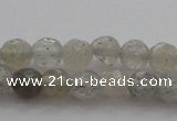 CTG217 15.5 inches 3mm faceted round tiny labradorite beads