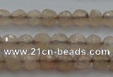 CTG218 15.5 inches 3mm faceted round tiny moonstone beads