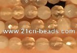 CTG2209 15 inches 2mm,3mm faceted round botswana agate beads