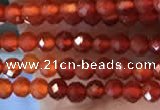 CTG2243 15 inches 2mm faceted round red agate beads