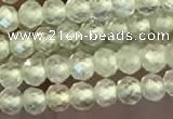 CTG2246 15 inches 2mm faceted round natural prehnite beads