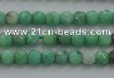 CTG225 15.5 inches 3mm faceted round tiny grass agate beads