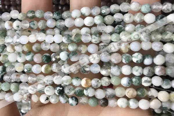 CTG2532 15.5 inches 4mm faceted round tree agate beads