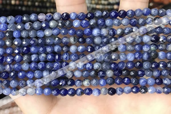 CTG3573 15.5 inches 4mm faceted round sodalite beads wholesale