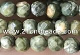 CTG3578 15.5 inches 4mm faceted round rhyolite beads wholesale