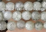 CTG3585 15.5 inches 4mm faceted round labradorite beads