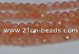 CTG610 15.5 inches 3mm faceted round golden sunstone beads