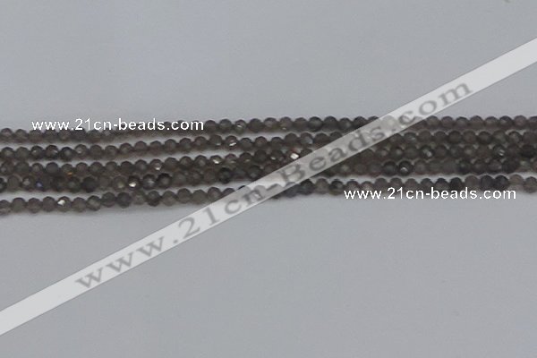 CTG639 15.5 inches 2mm faceted round smoky black obsidian beads