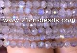CTG700 15.5 inches 2mm faceted round tiny labradorite beads