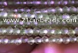 CTG743 15.5 inches 2mm faceted round tiny prehnite beads